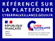 Professionnel cybermalveillance.gouv.fr